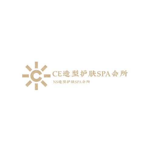 領(lǐng)袖云商城logo設(shè)計