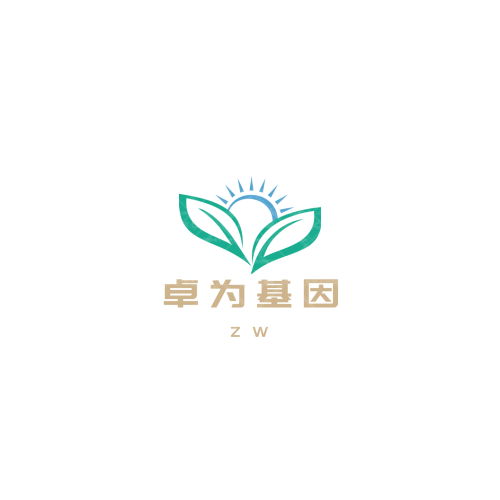 QQ上帝logo設(shè)計(jì)