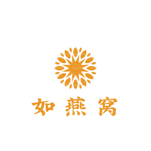 星辰網(wǎng)絡(luò)科技logo設(shè)計