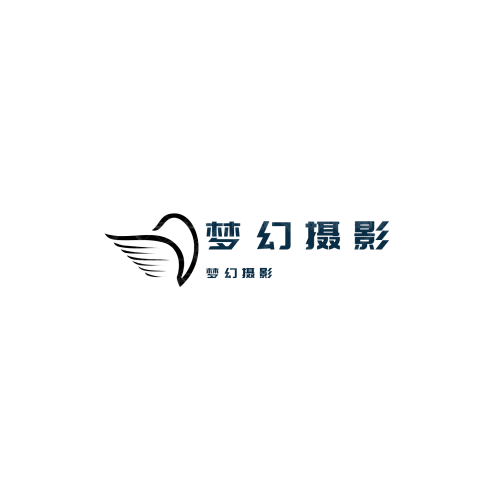 NIGHTSTARlogo設(shè)計(jì)