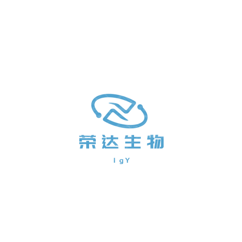 兵團(tuán)十一師第四中學(xué)logo設(shè)計(jì)