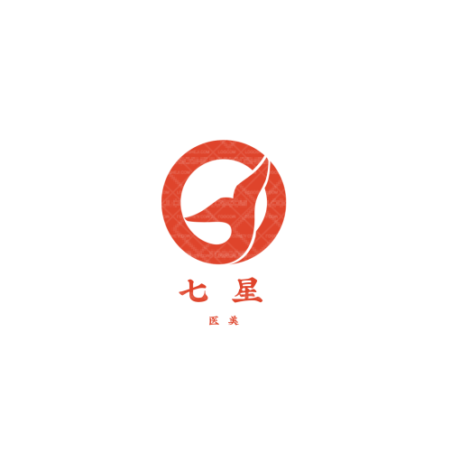 晨熙自動發(fā)卡平臺logo設(shè)計