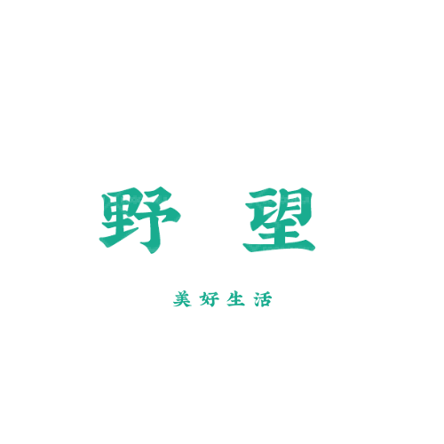 VIlogo設(shè)計(jì)