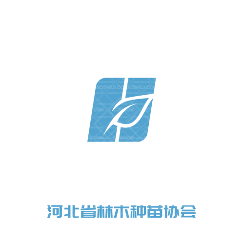 賓果bingologo設(shè)計(jì)