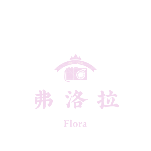 青媒logo設計